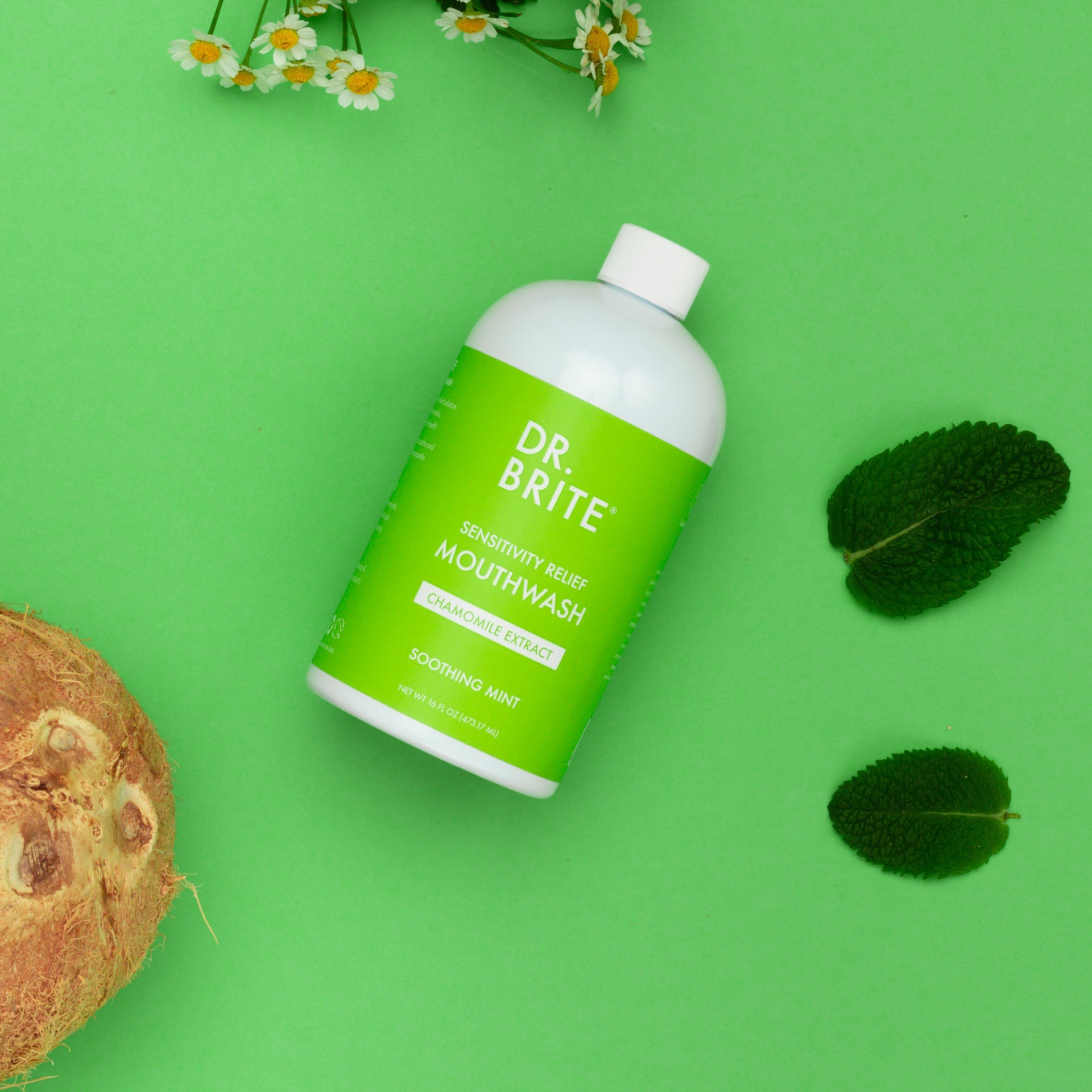Mint Whitening Mouthwash | Dr. Brite